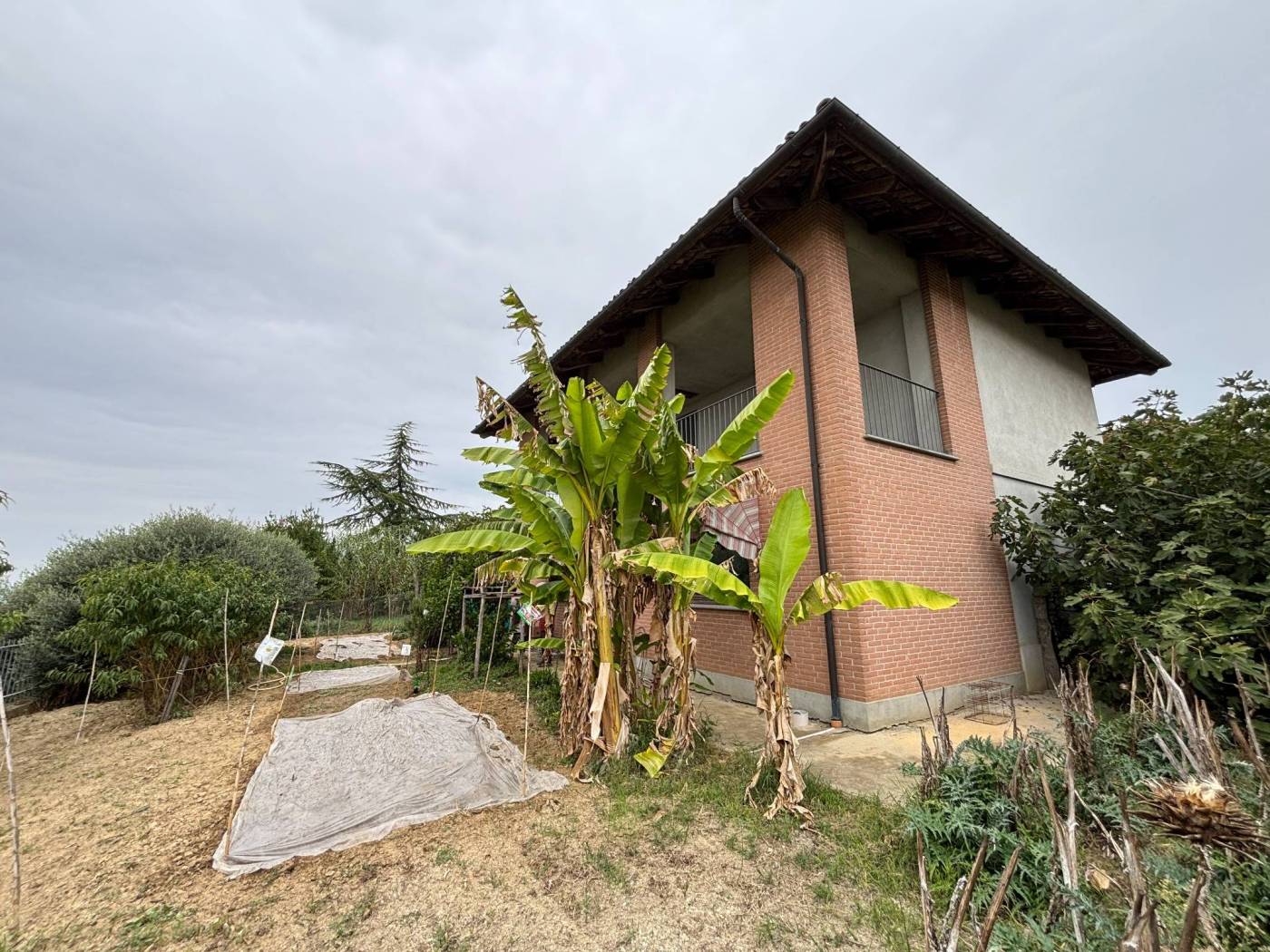 Terreno