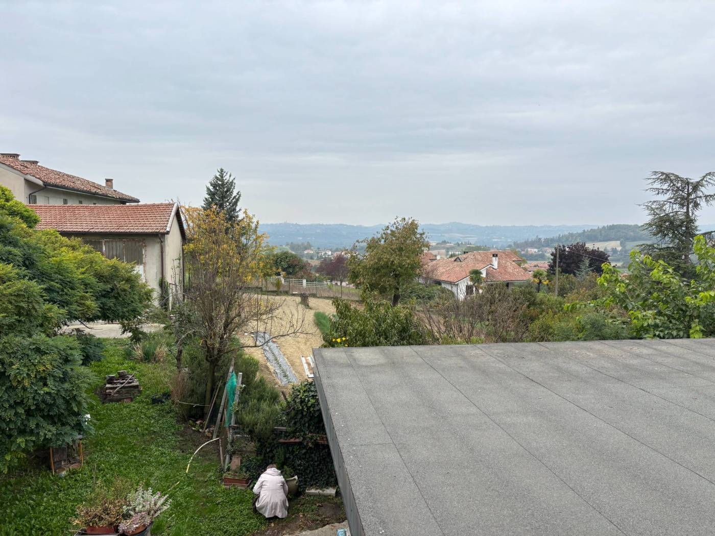 Vista
