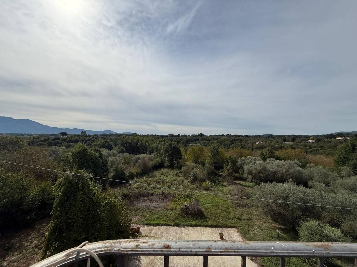 Vista