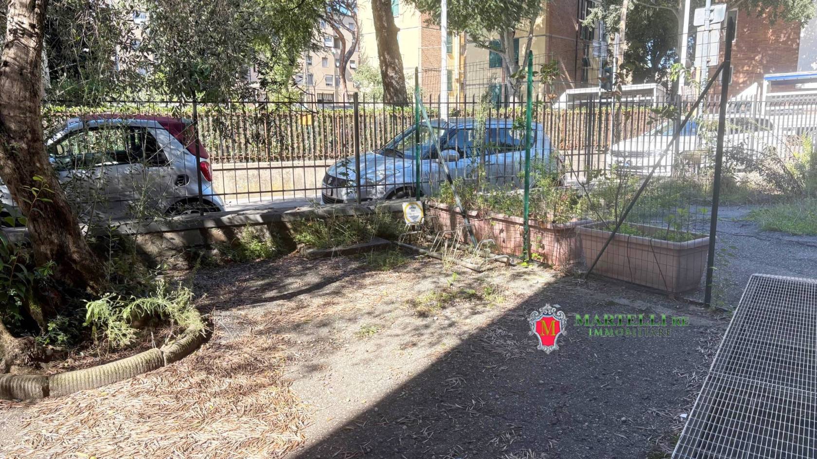 Giardino