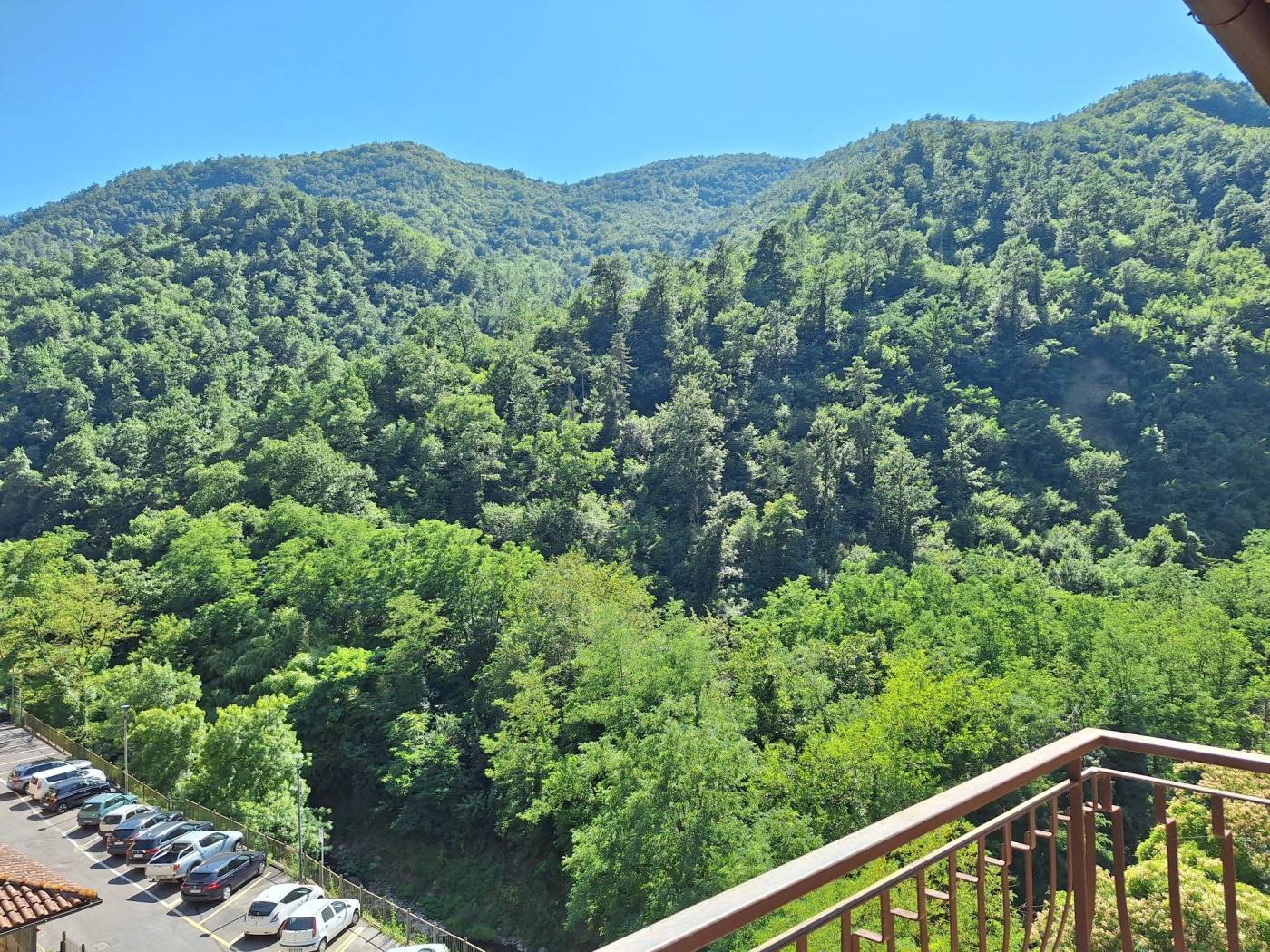 Vista