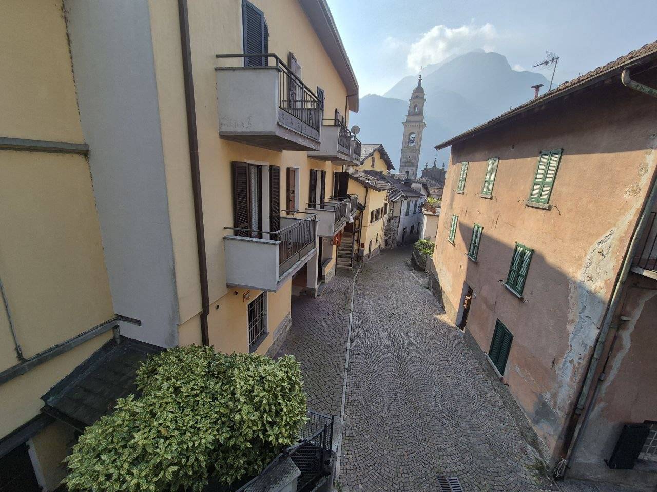Vista