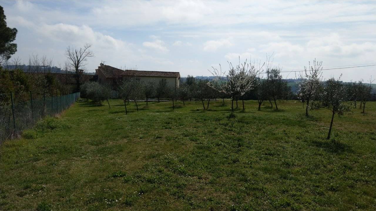 Terreno
