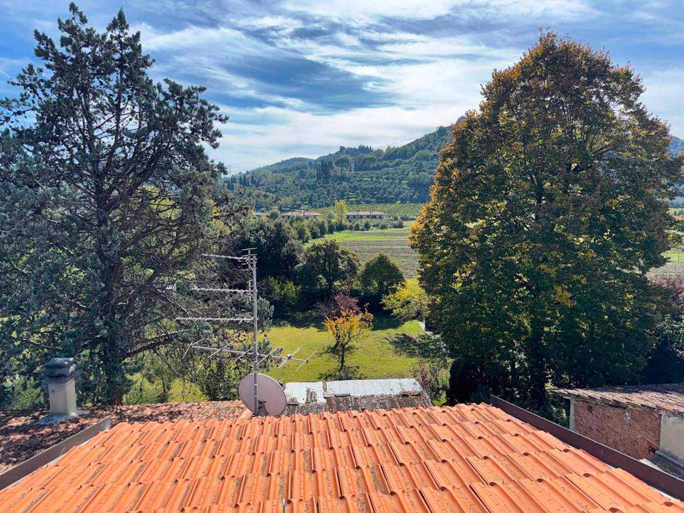 Vista