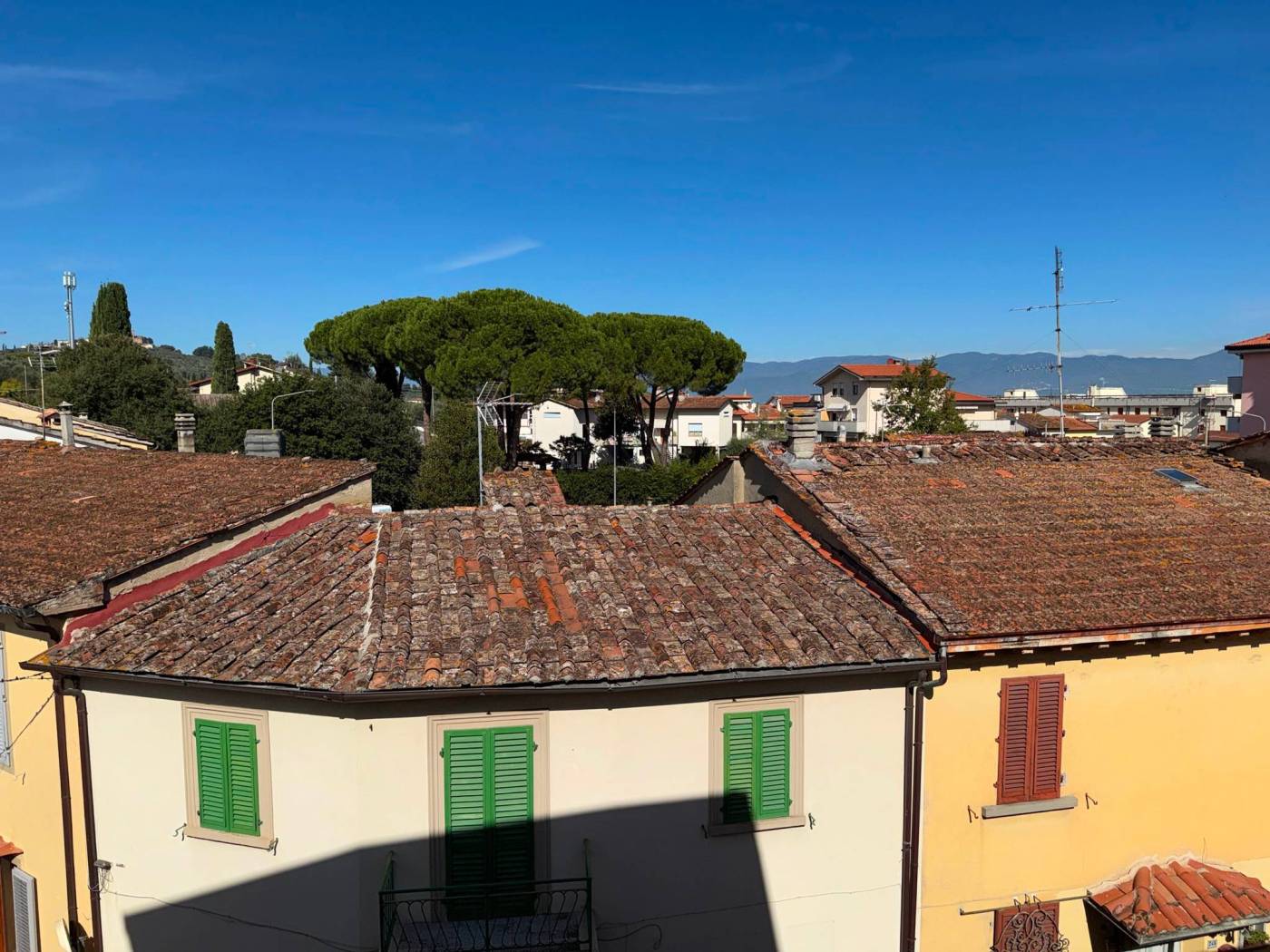 Vista