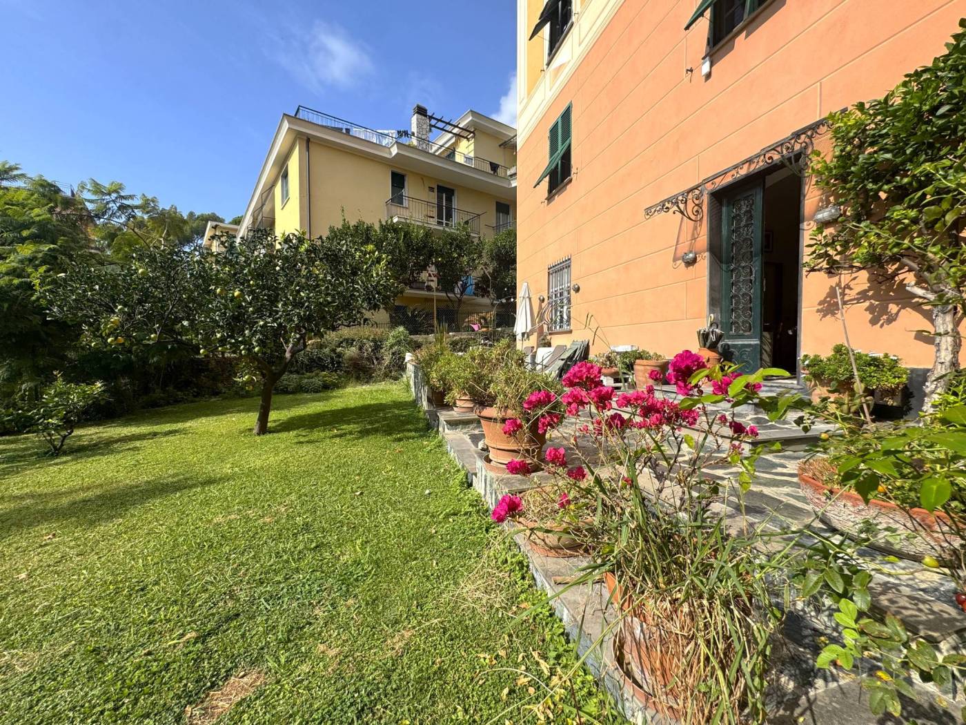 Giardino