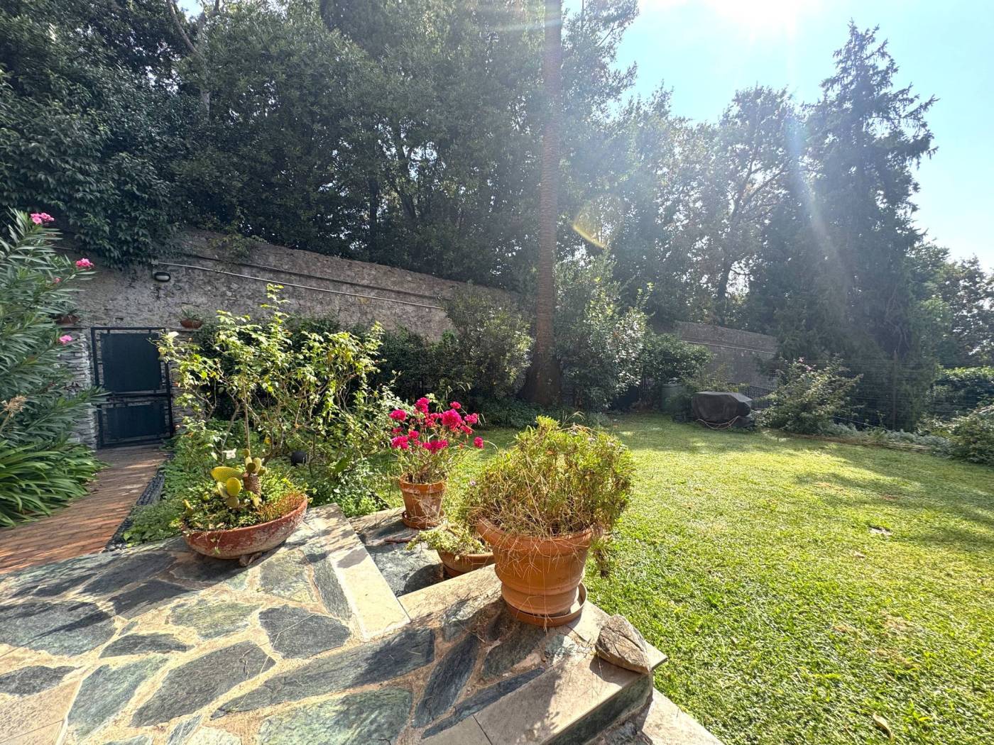 Giardino