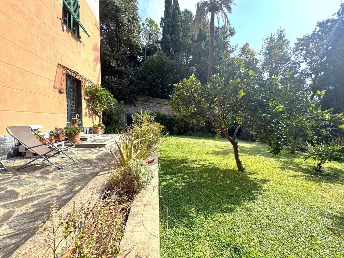 Giardino