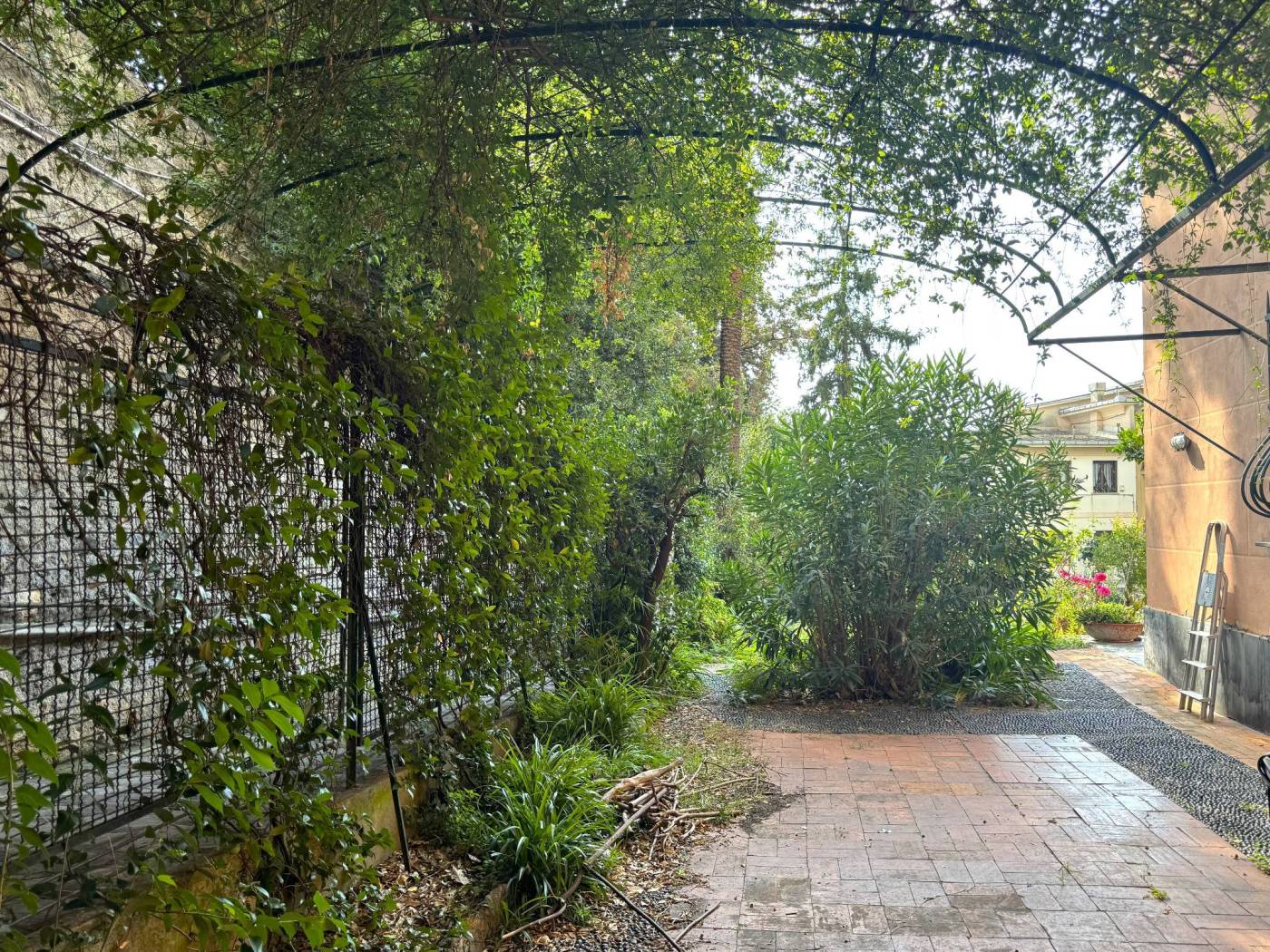Patio esterno