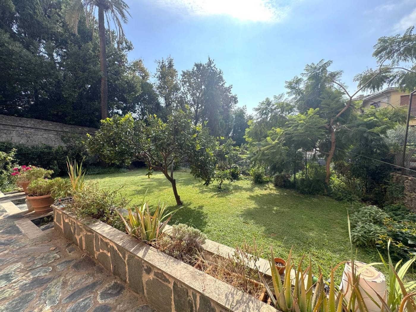 Giardino