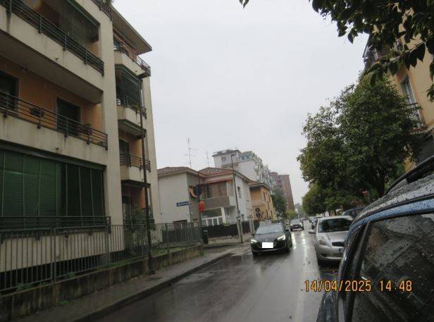 Zona