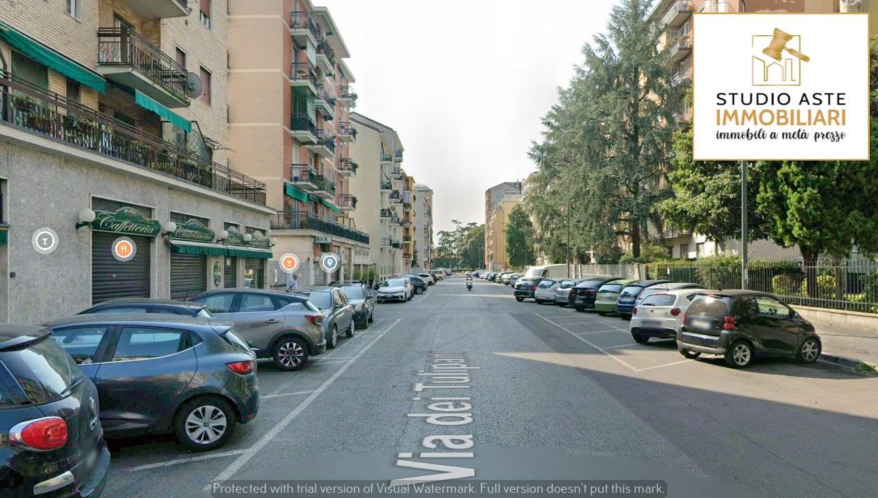 Zona