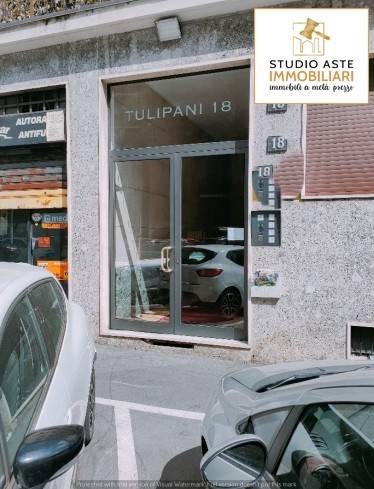 Ingresso
