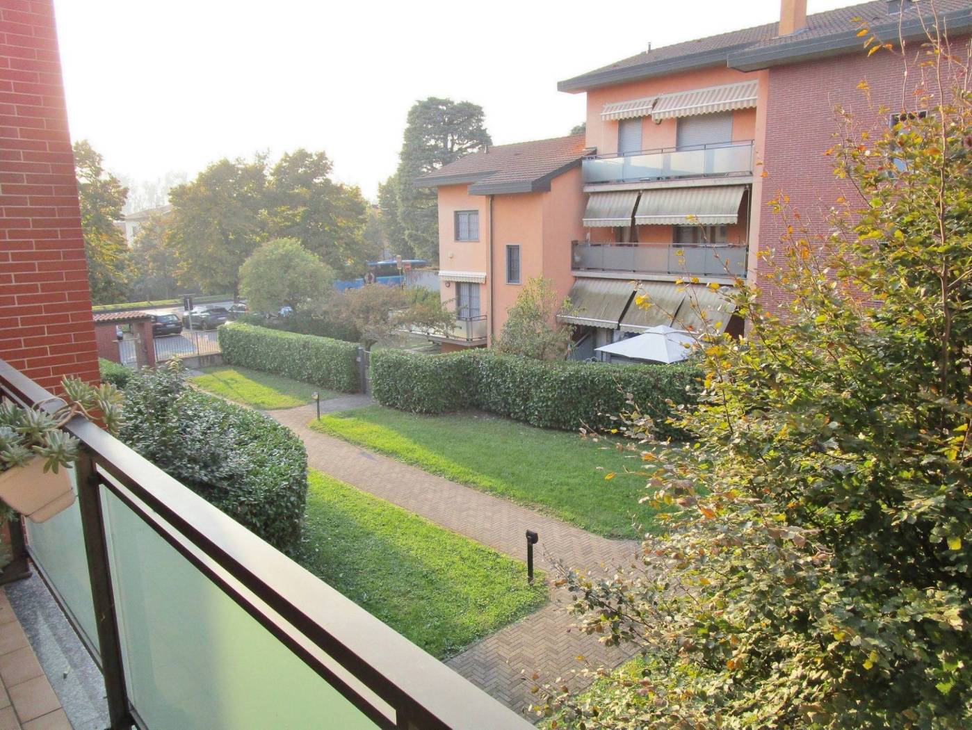 Vista