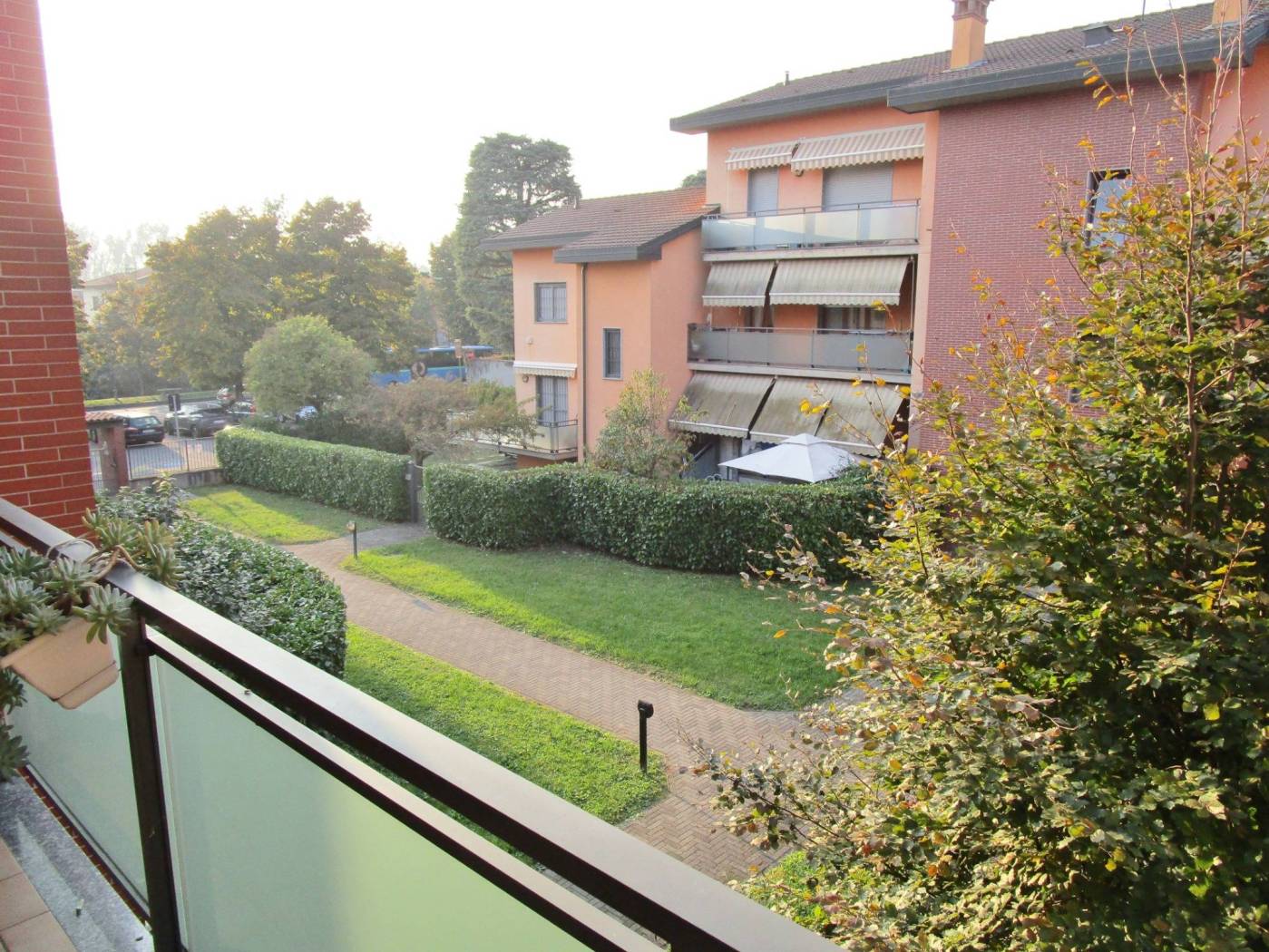 Vista