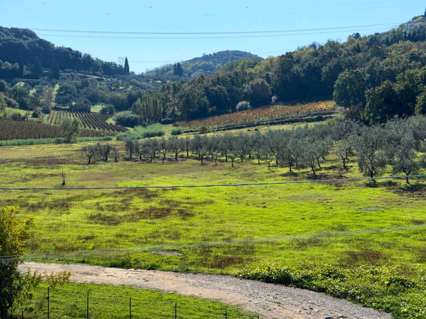 Terreno