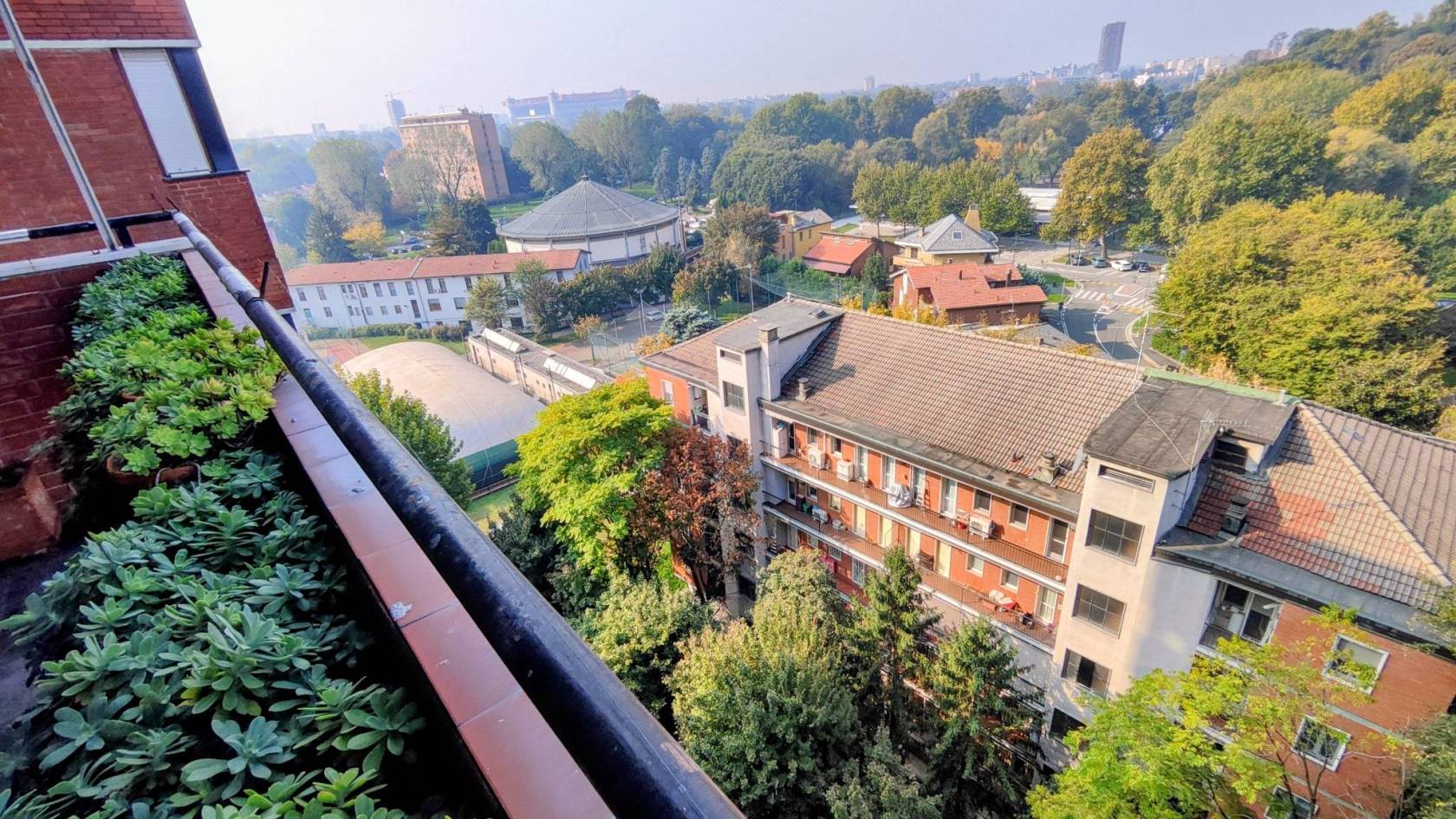 Vista