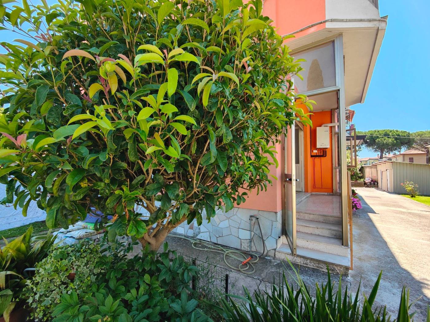Ingresso