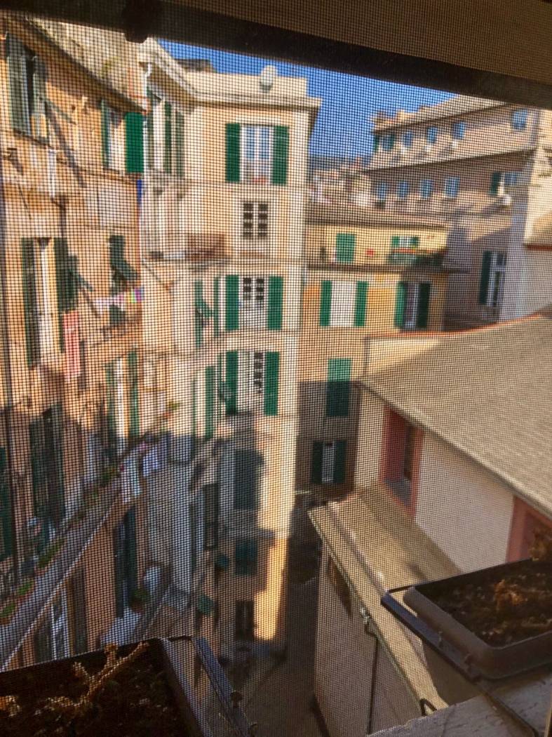 Vista
