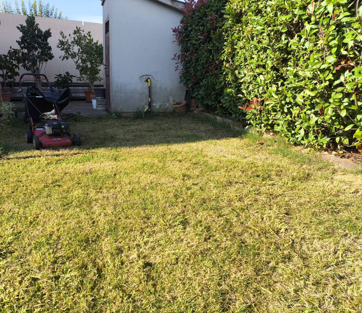 Giardino