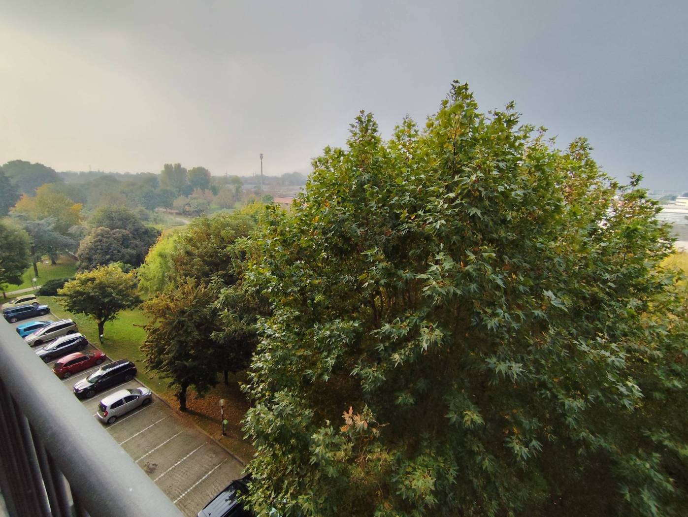 Vista