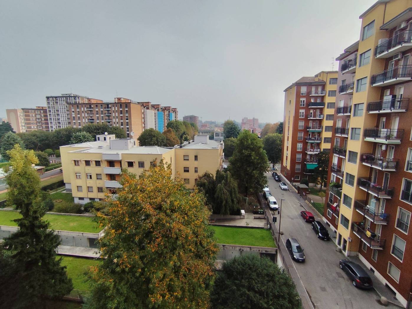 Vista