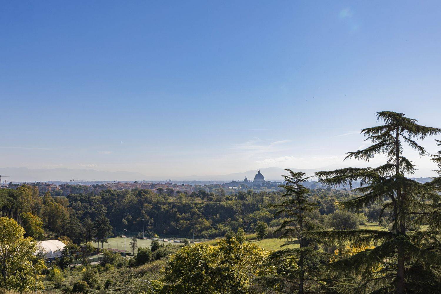 Vista
