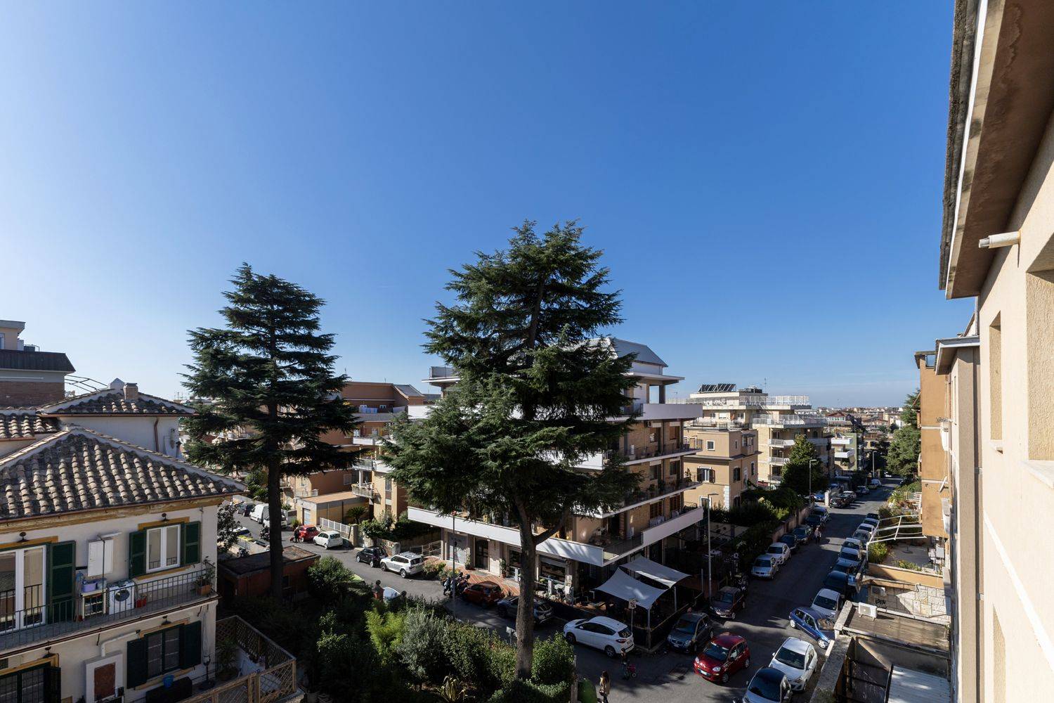 Vista