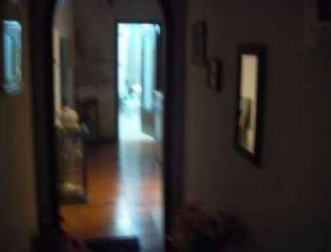 Interno palazzo Interno palazzo