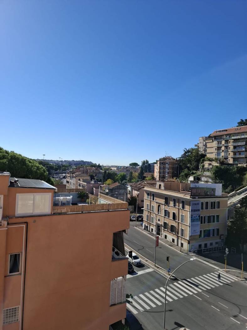 Vista