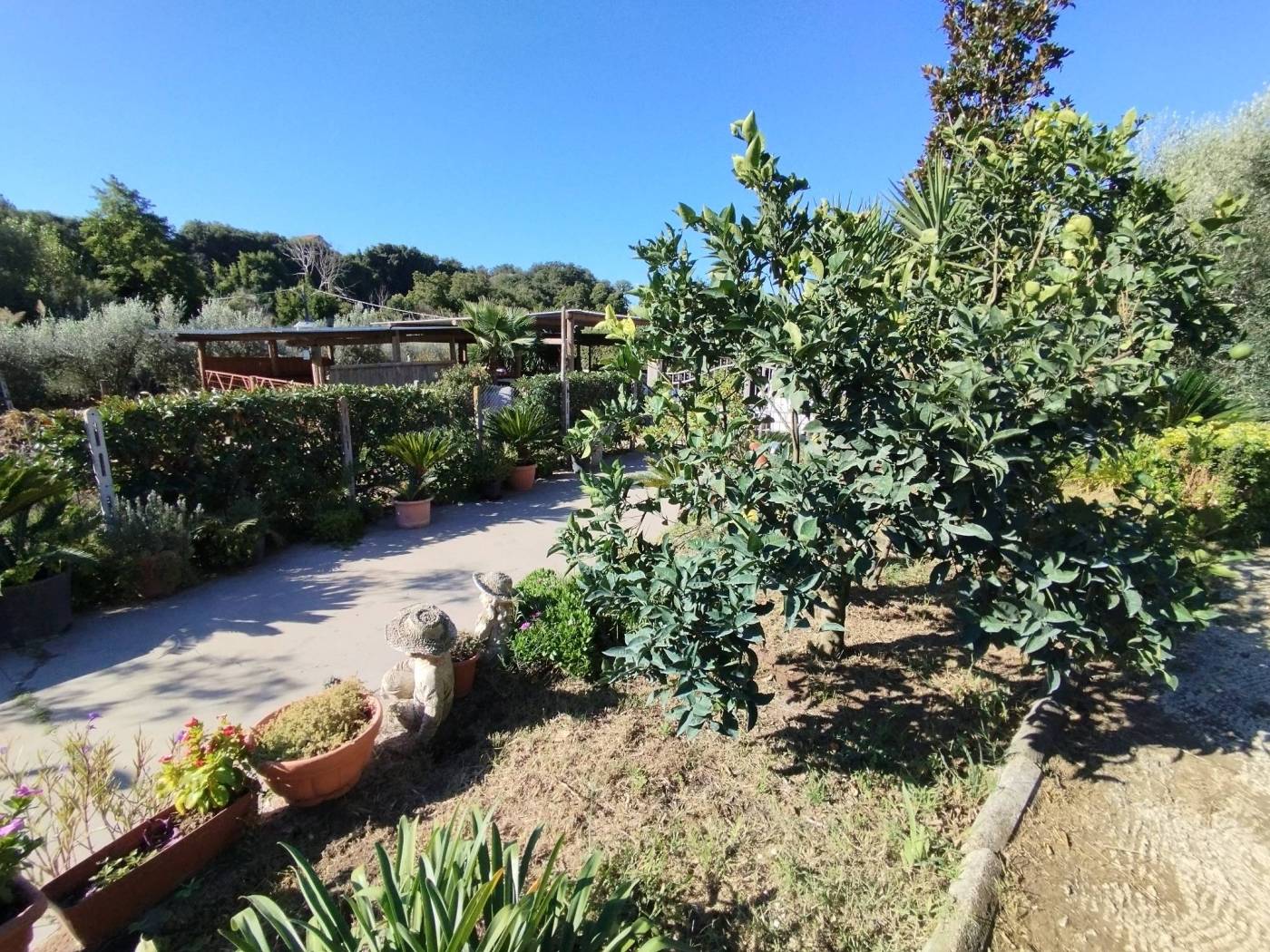 Giardino