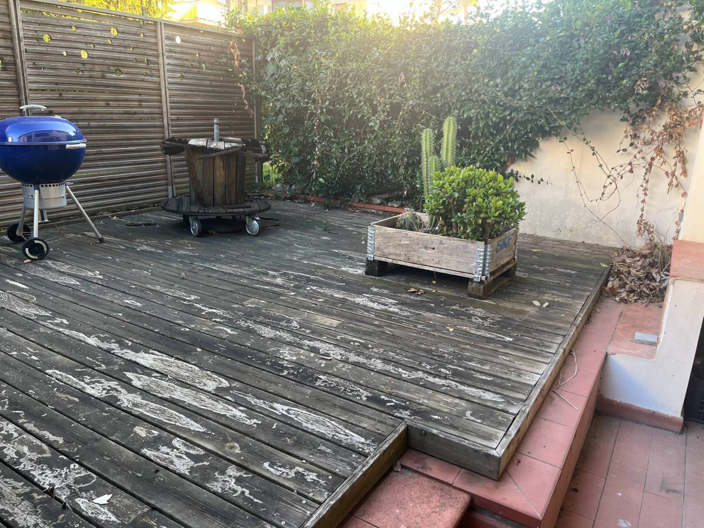 Giardino