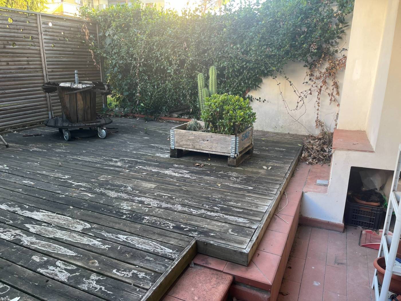 Giardino