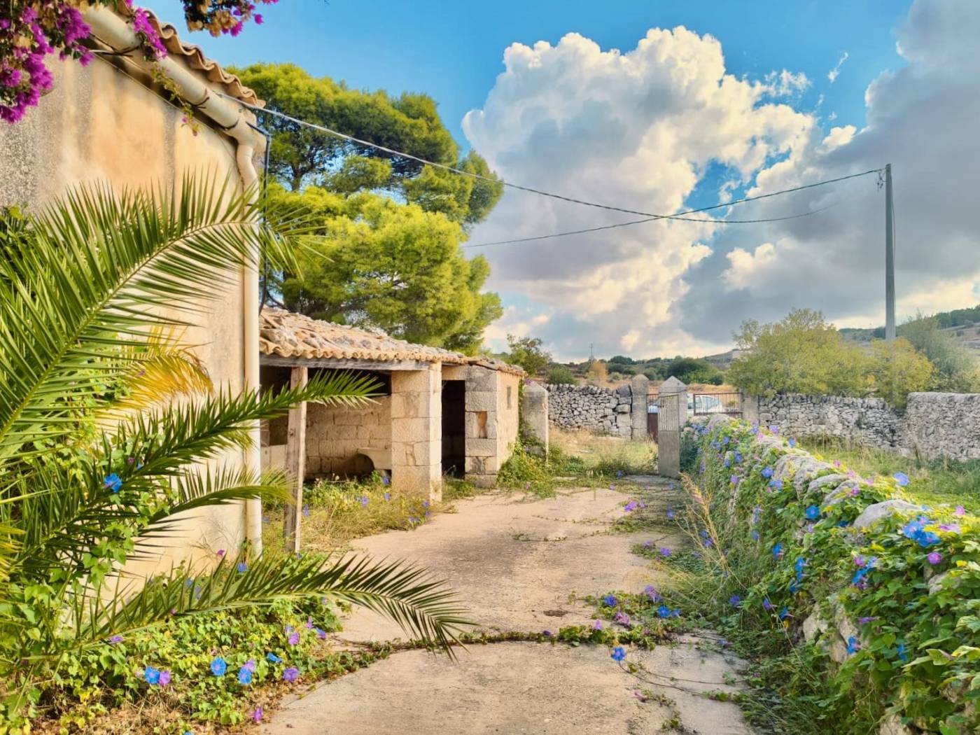 Giardino