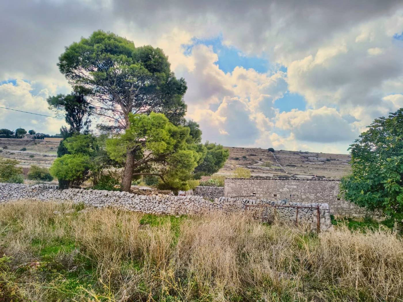 Terreno