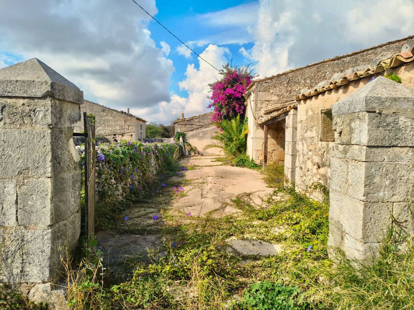 Giardino