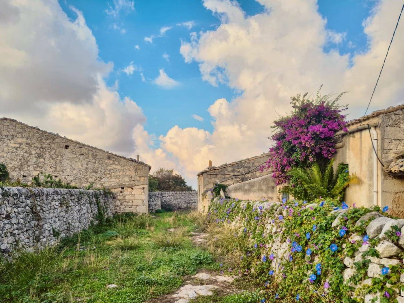 Giardino