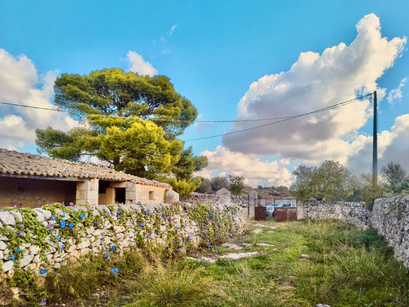 Giardino