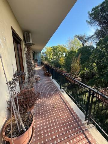 Terrazzo