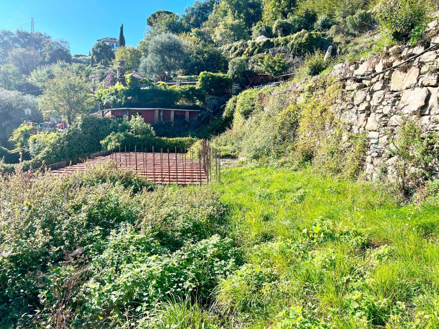 Giardino