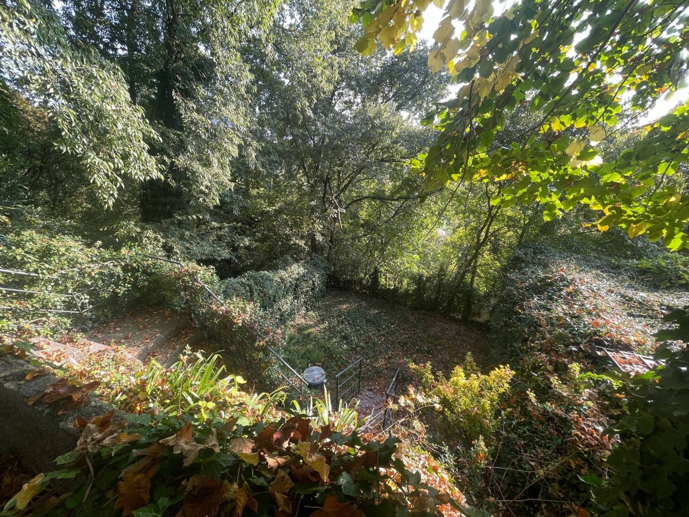 Giardino