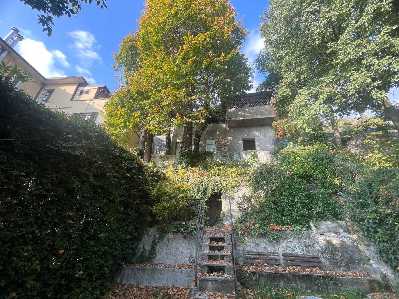 Giardino