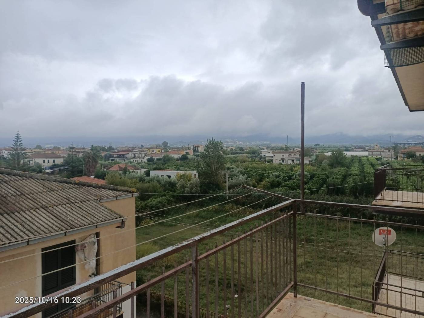 Vista