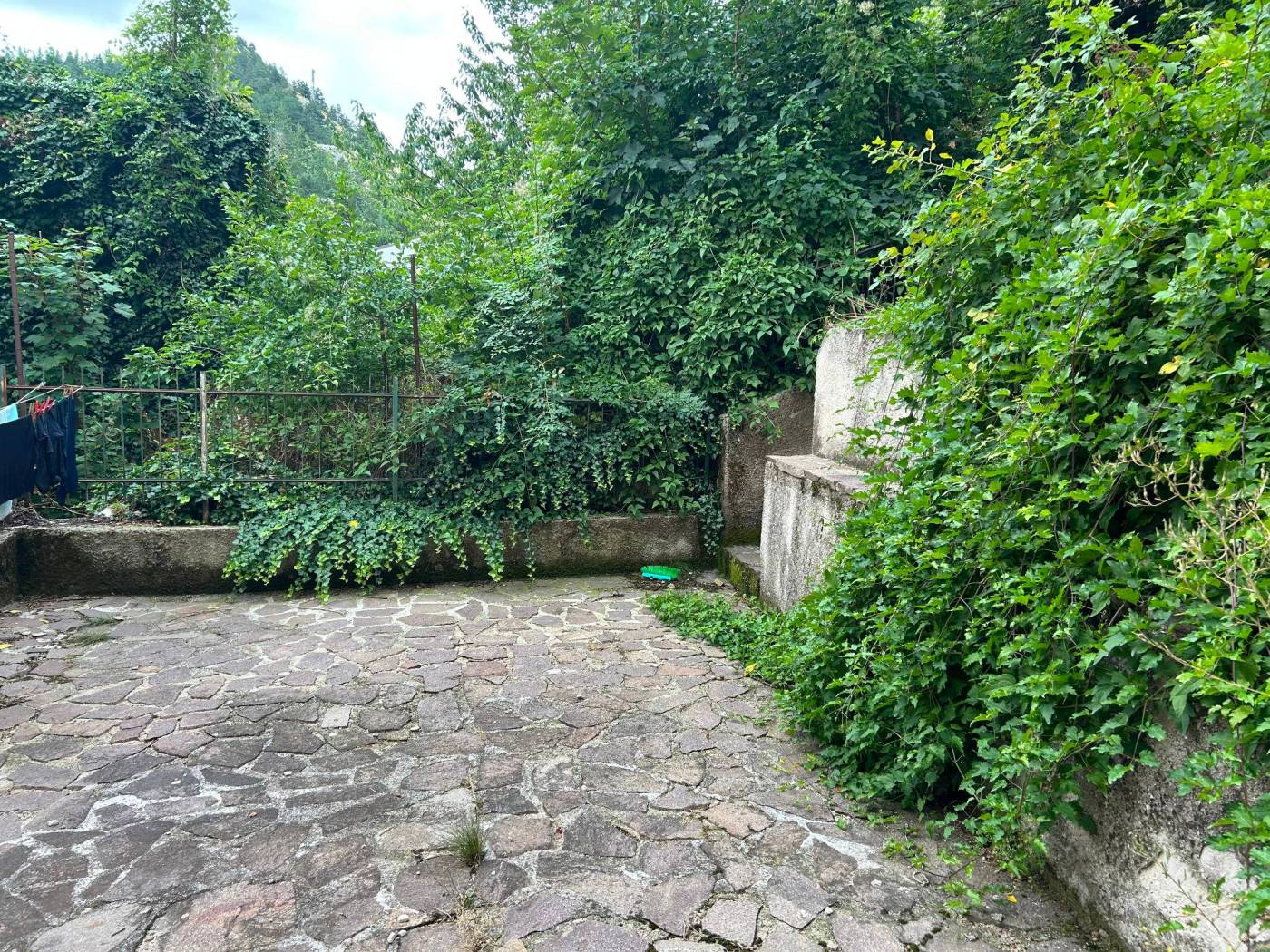 Giardino