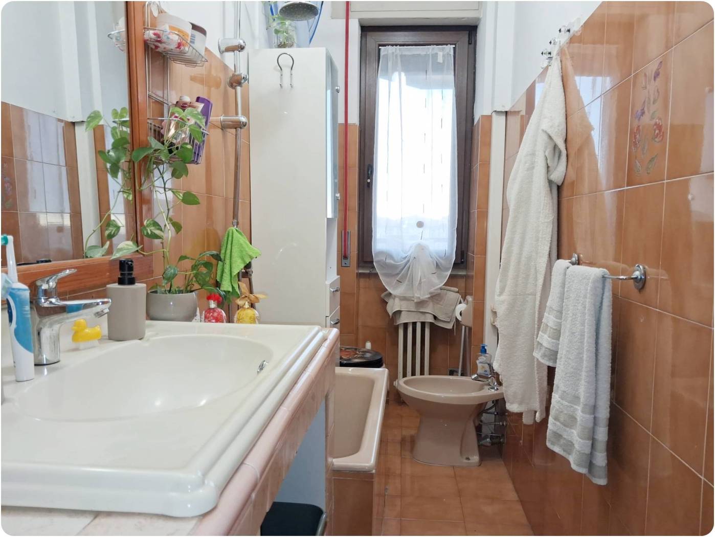 Bagno