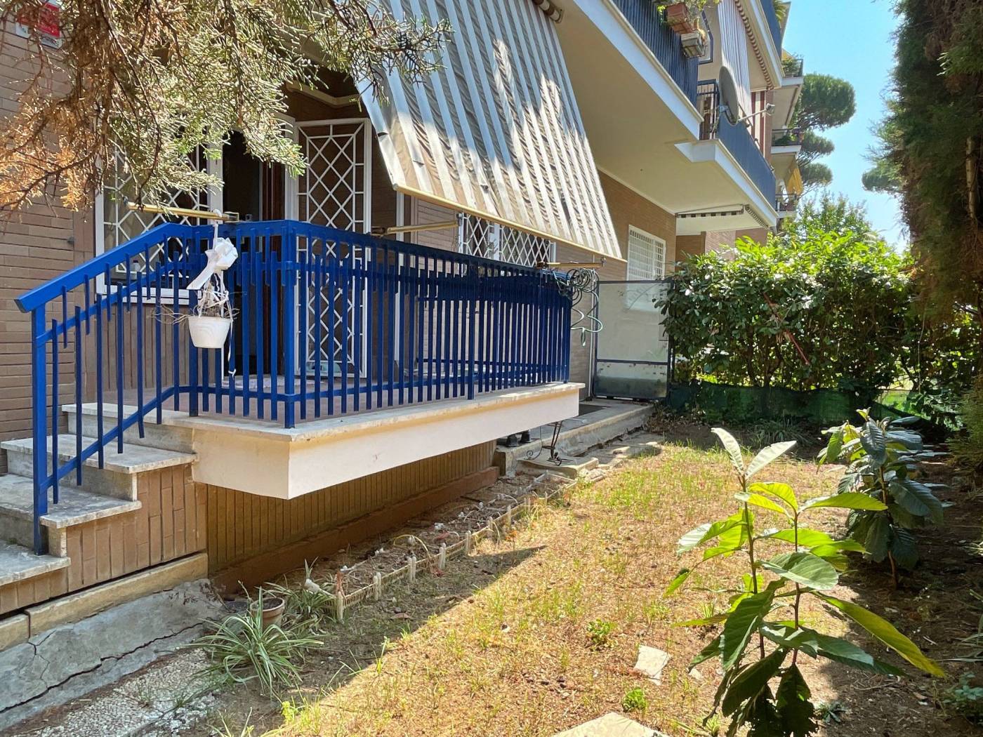Giardino