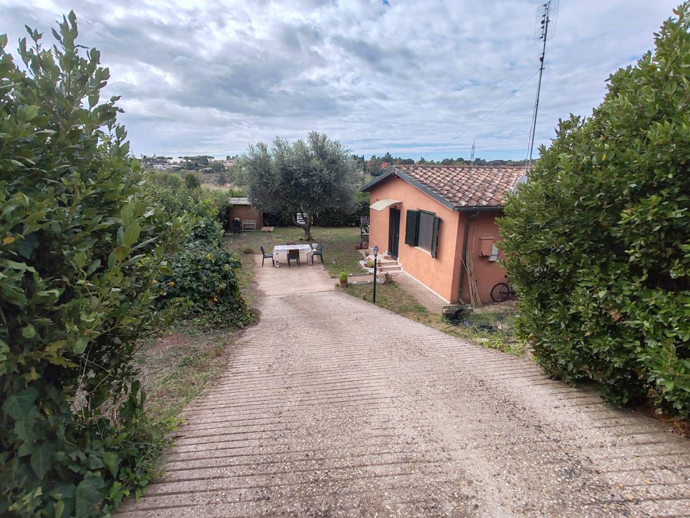 Zona Zona