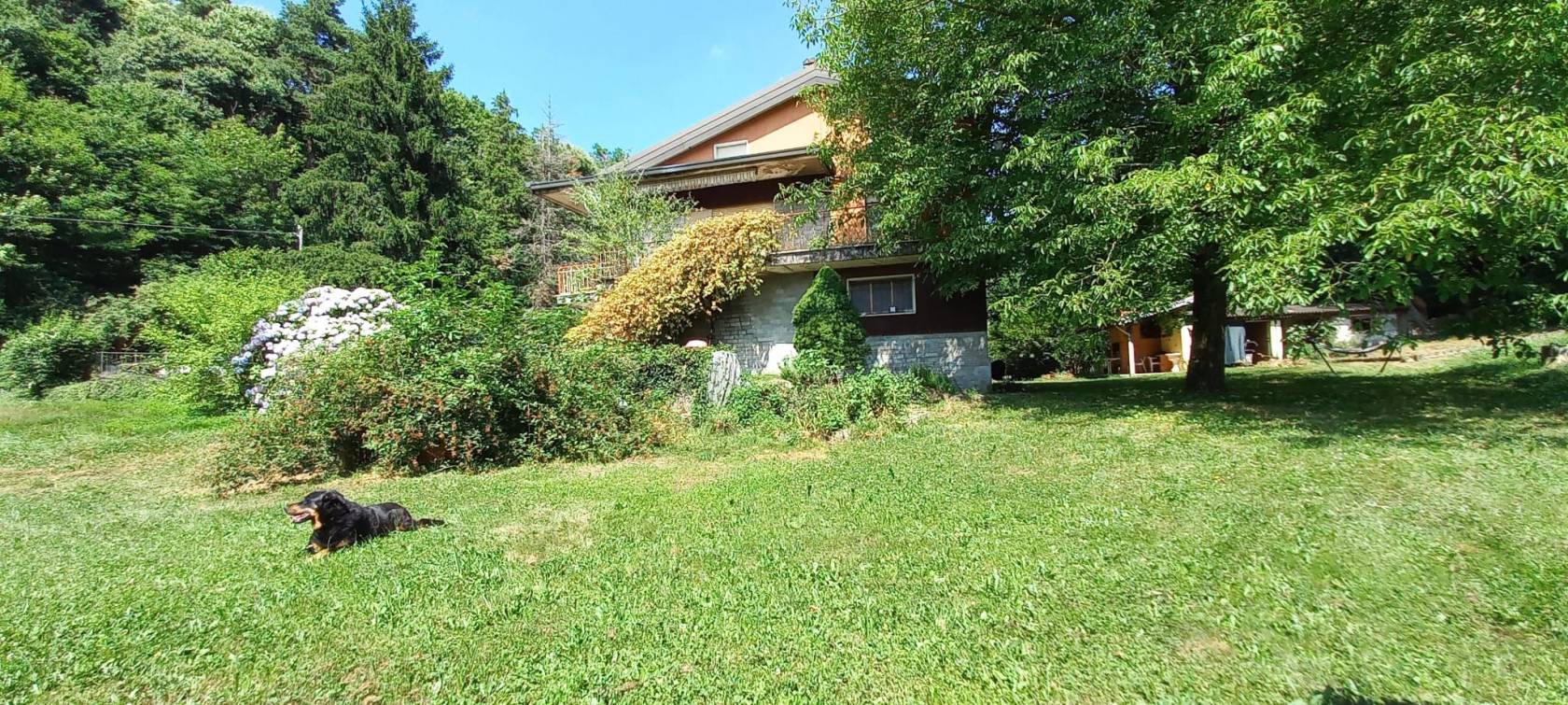 Giardino