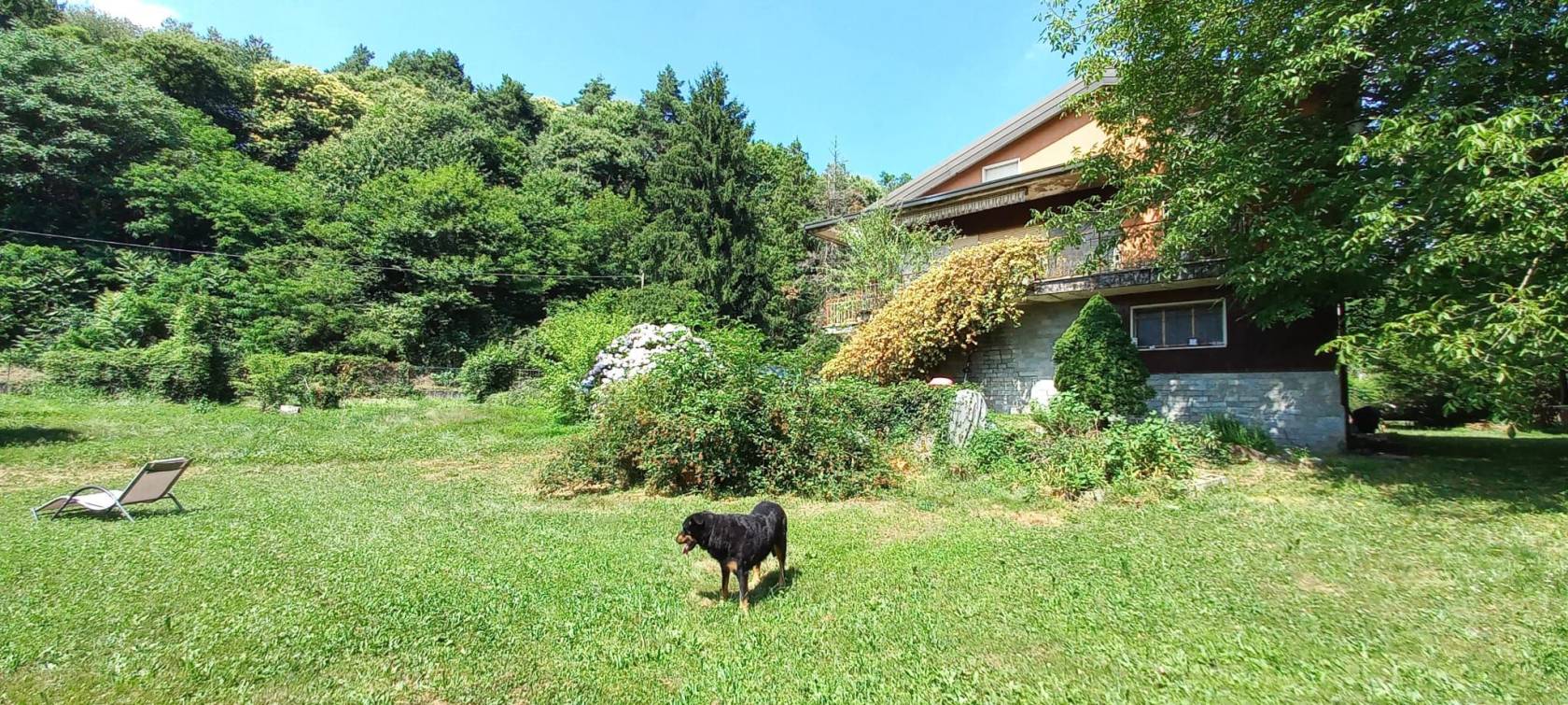 Giardino