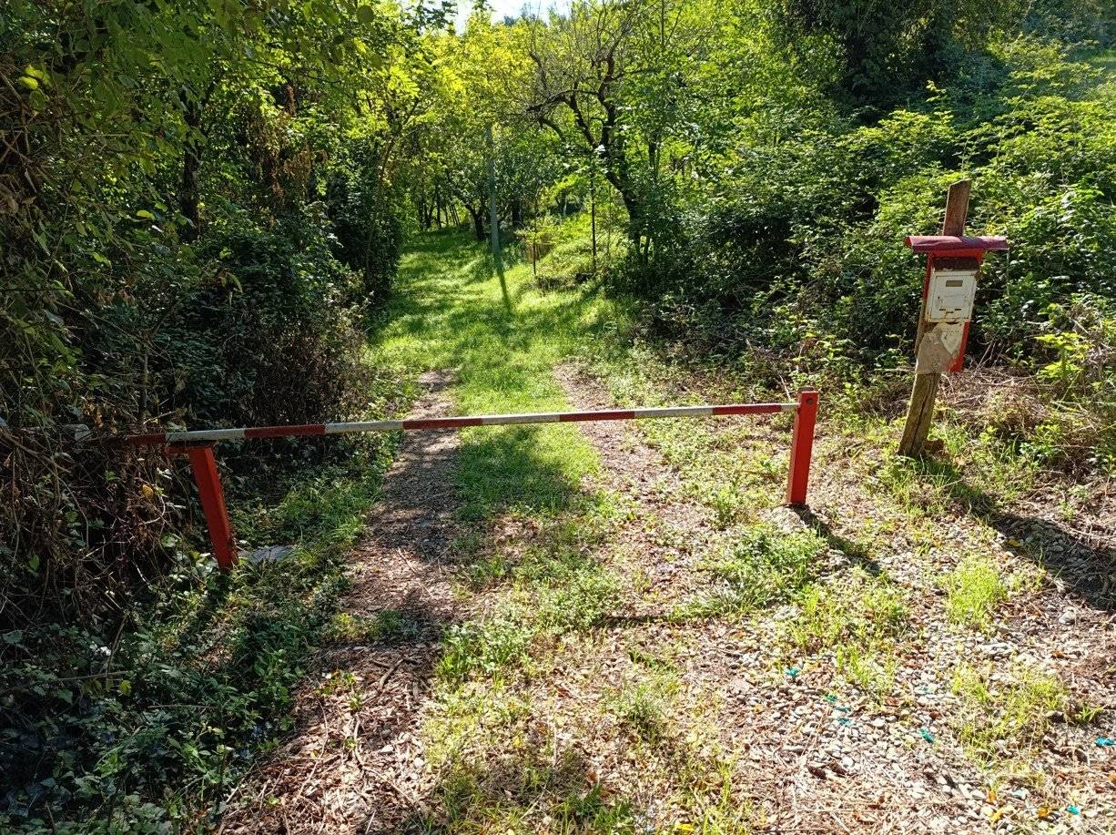 Giardino